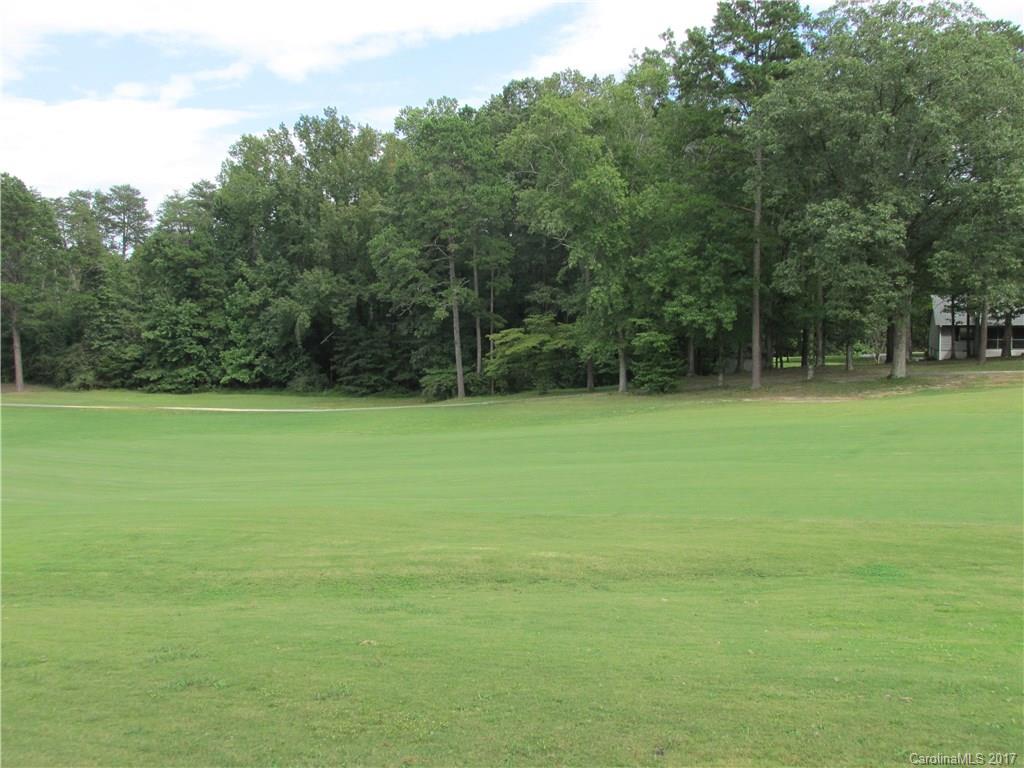 828 Hooper Creek Road, Unit 21B Tryon, NC 28782 - Photo 3 of 6 a view of a field with trees in the background