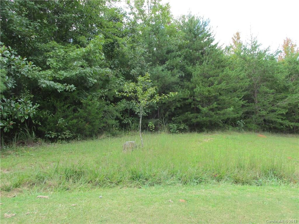 828 Hooper Creek Road, Unit 21B Tryon, NC 28782 - Photo 4 of 6 a view of a lush green space