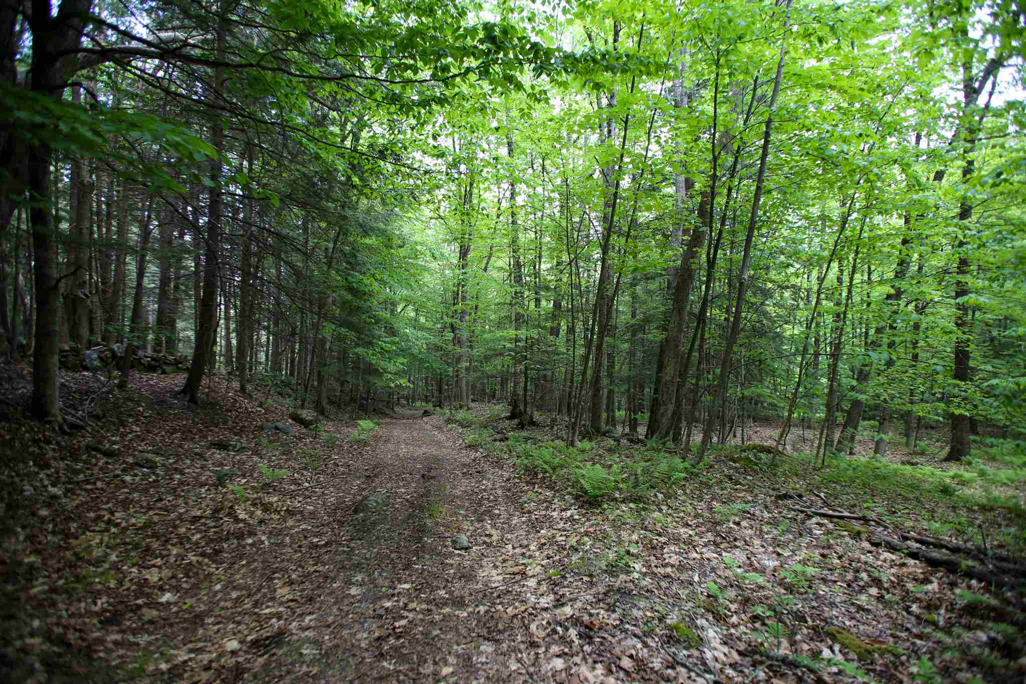 199 Monument Hill Road Springfield, VT 05156 - Photo 22 of 40