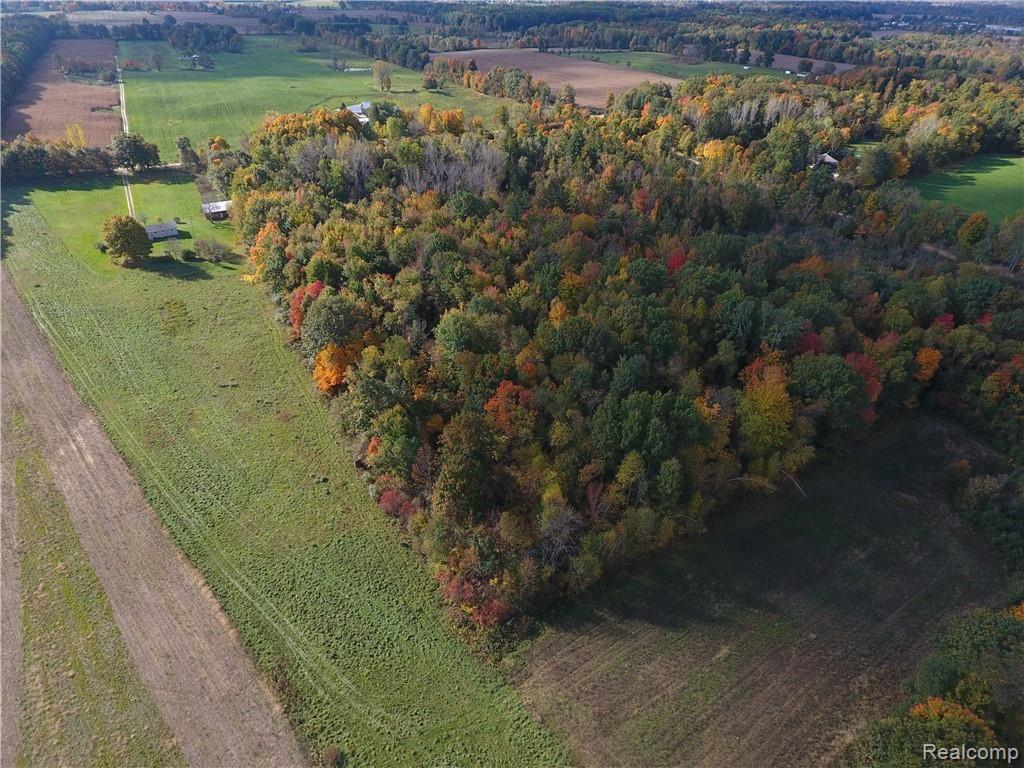 5095 Hasslick Road North Branch, MI 48461 - Photo 41 of 42 Woods and Fields!.JPG