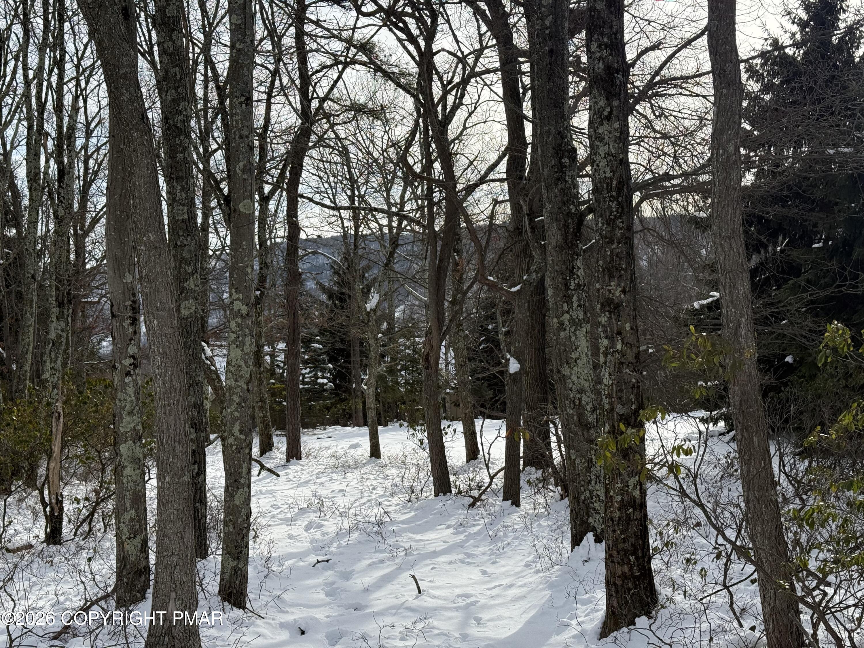 18 Upper Deer Valley Road Tannersville, PA 18372 - Photo 4 of 5 a view of outdoor space with lots of trees