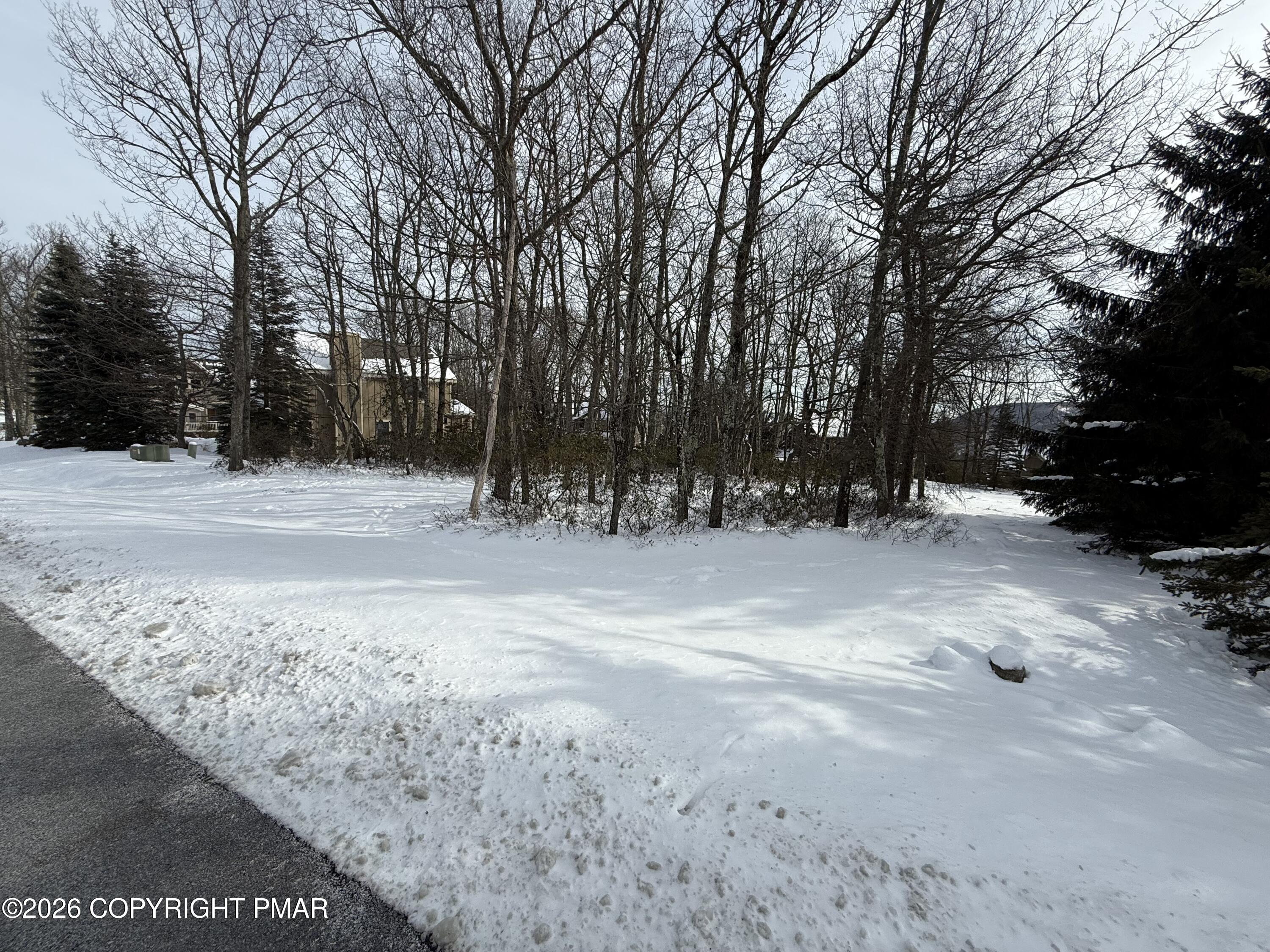 18 Upper Deer Valley Road Tannersville, PA 18372 - Photo 5 of 5 a view of outdoor space with trees