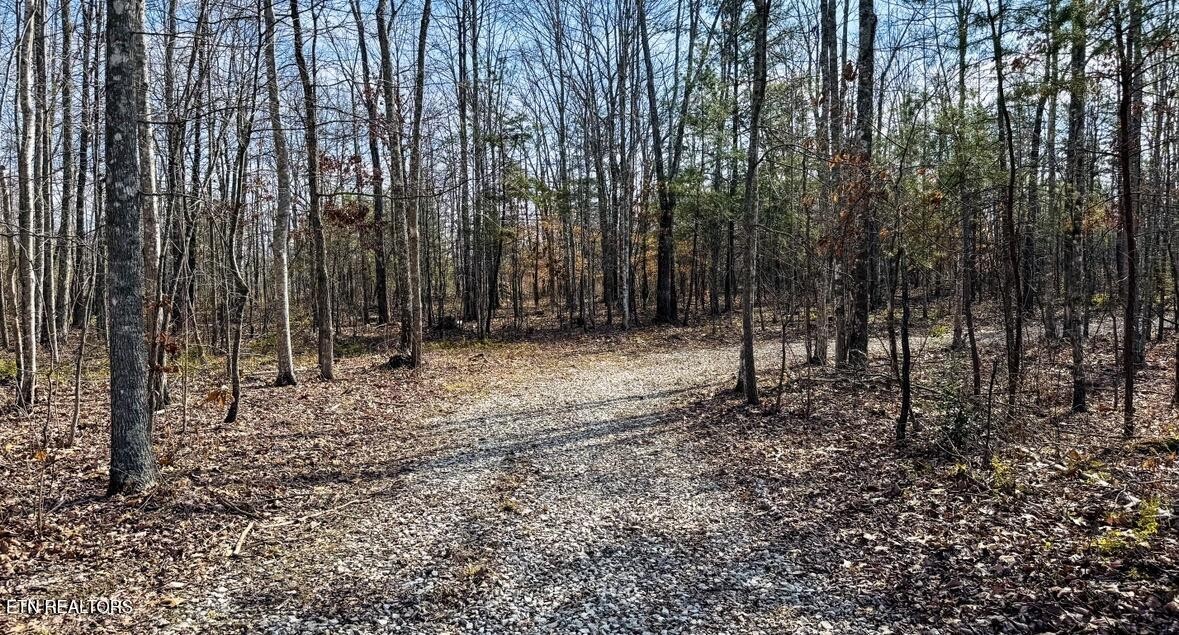 245 Old Beaty Pvt Road Winfield, TN 37892 - Photo 13 of 17 Gallery Image 13
