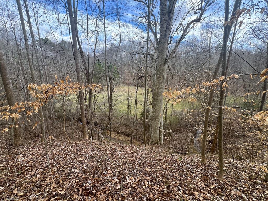 1144 Duggins Road Madison, NC 27025 - Photo 38 of 49