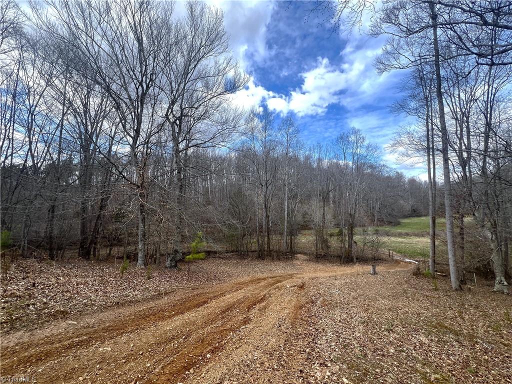1144 Duggins Road Madison, NC 27025 - Photo 39 of 49