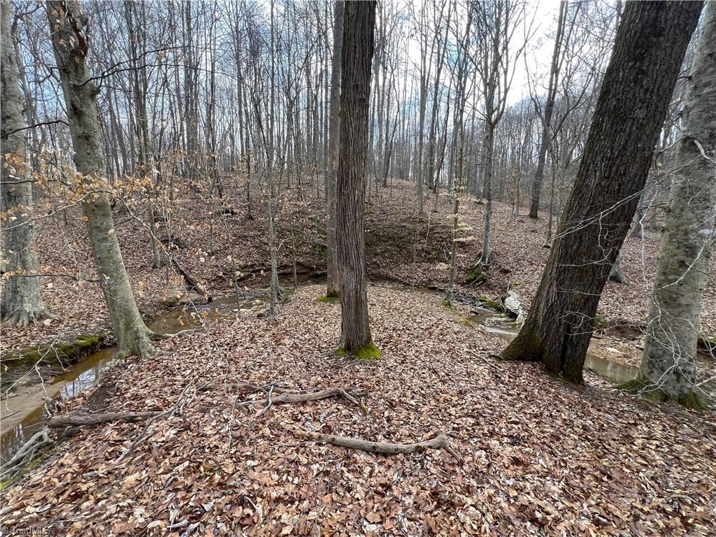 1144 Duggins Road Madison, NC 27025 - Photo 43 of 49