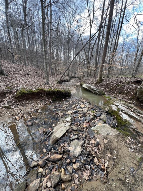 1144 Duggins Road Madison, NC 27025 - Photo 45 of 49