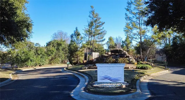a view of a backyard with plants and trees