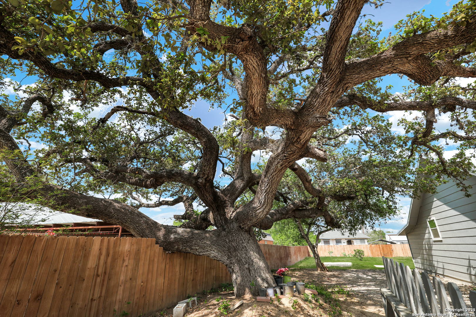 507 Hayden Avenue Devine, TX 78016 - Photo 3 of 26 a view of yard with outdoor seating