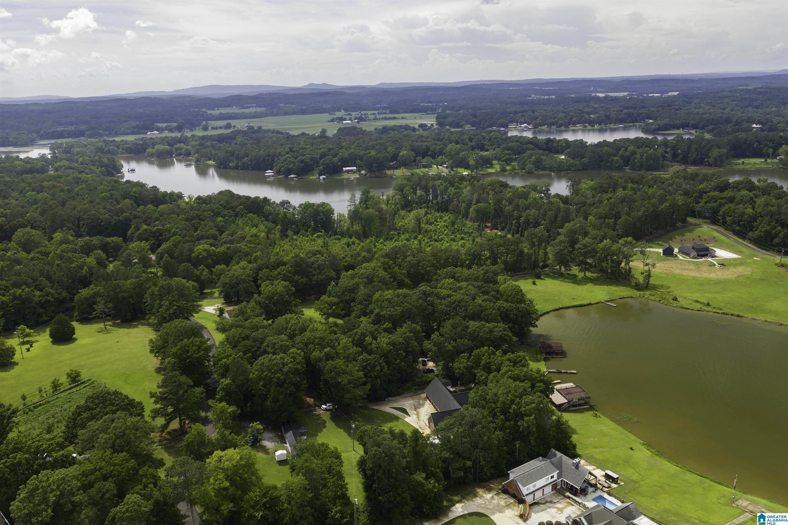 2715 Hamilton Road Pell City, AL 35128 - Photo 65 of 81