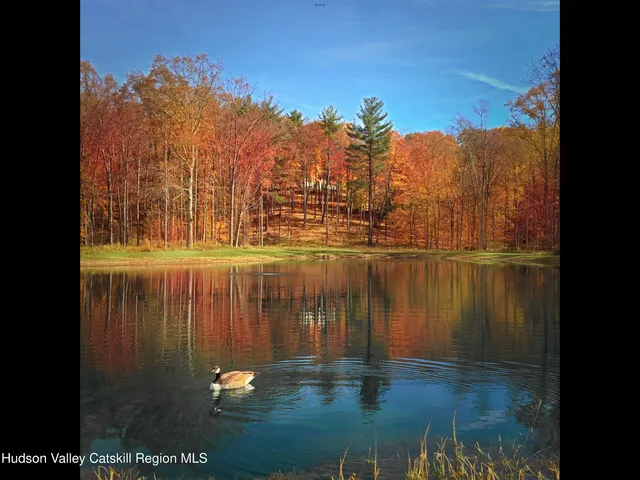 a view of a garden with large trees