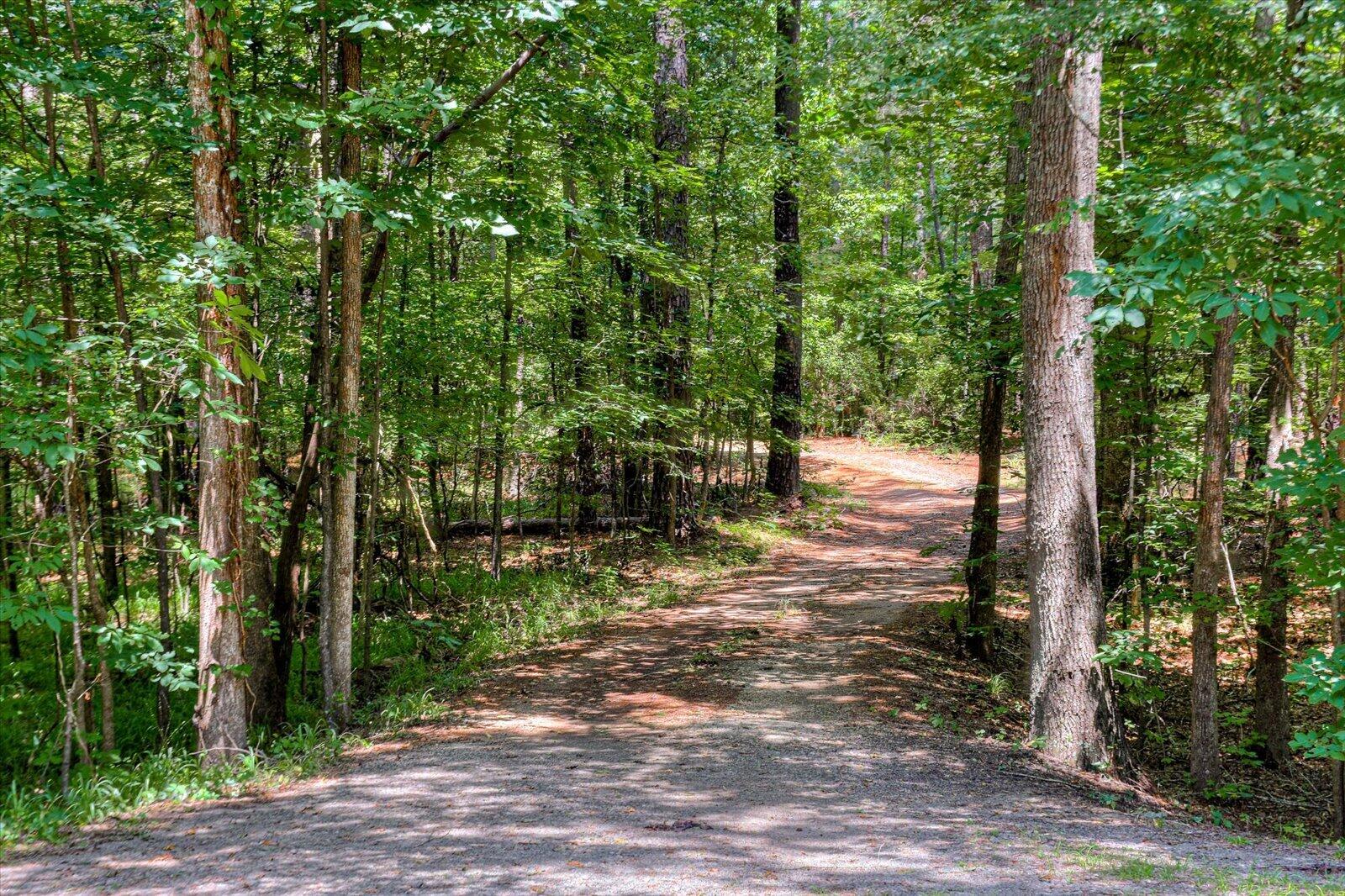 612 Bramble Road North Augusta, SC 29860 - Photo 71 of 75 Private road to property.