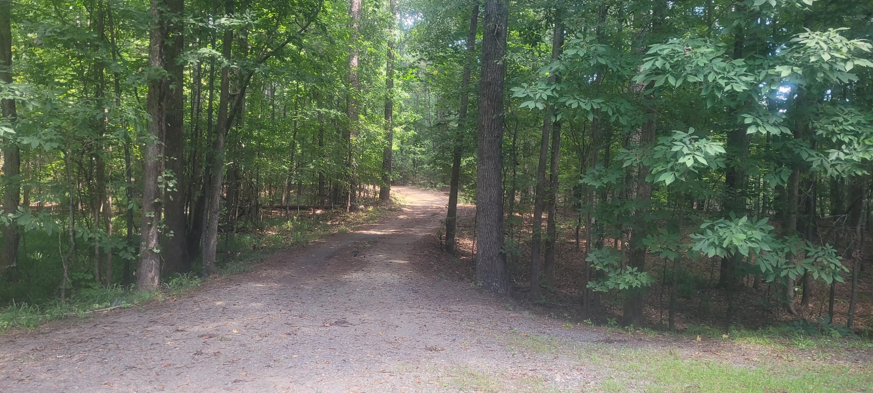 612 Bramble Road North Augusta, SC 29860 - Photo 73 of 75 Road from workshop to road that leads to house