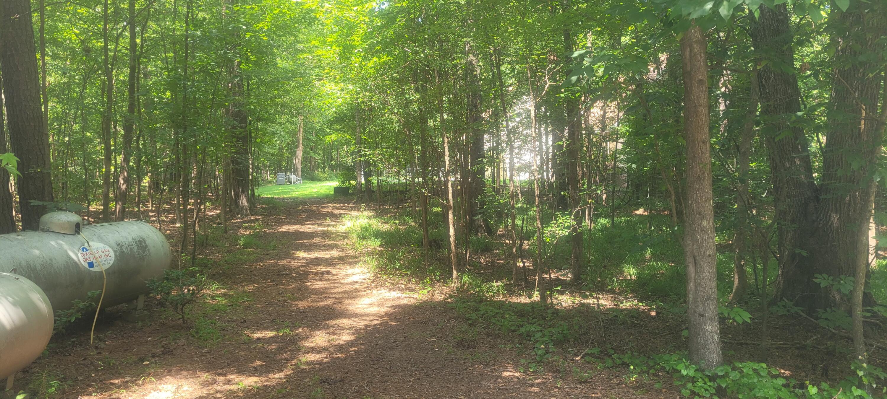 612 Bramble Road North Augusta, SC 29860 - Photo 74 of 75 Walking path from workshop to house