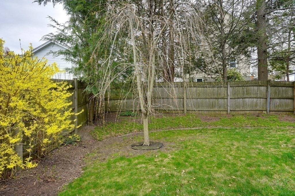 167 Russett Road Boston, MA 02132 - Photo 34 of 39 Gallery Image 34