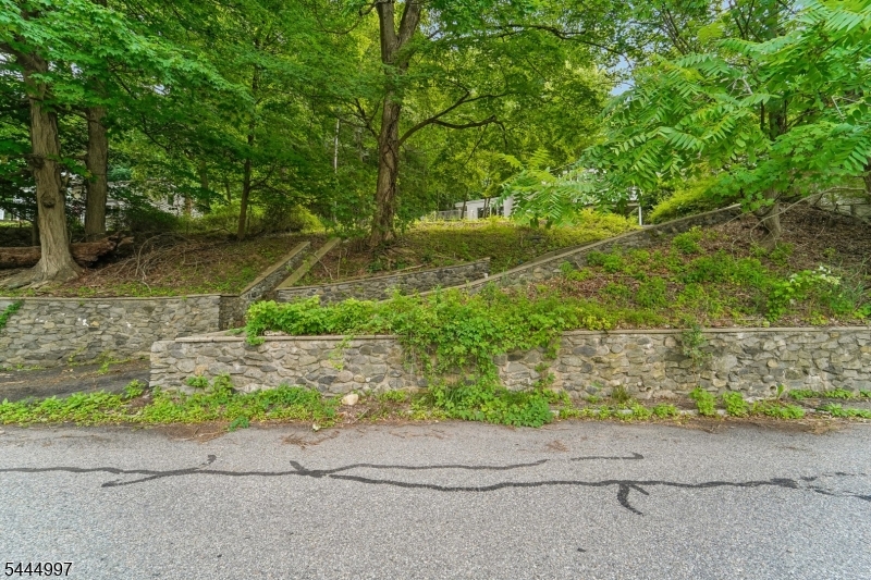157 West Lindsley Road Cedar Grove, NJ 07009 - Photo 4 of 34