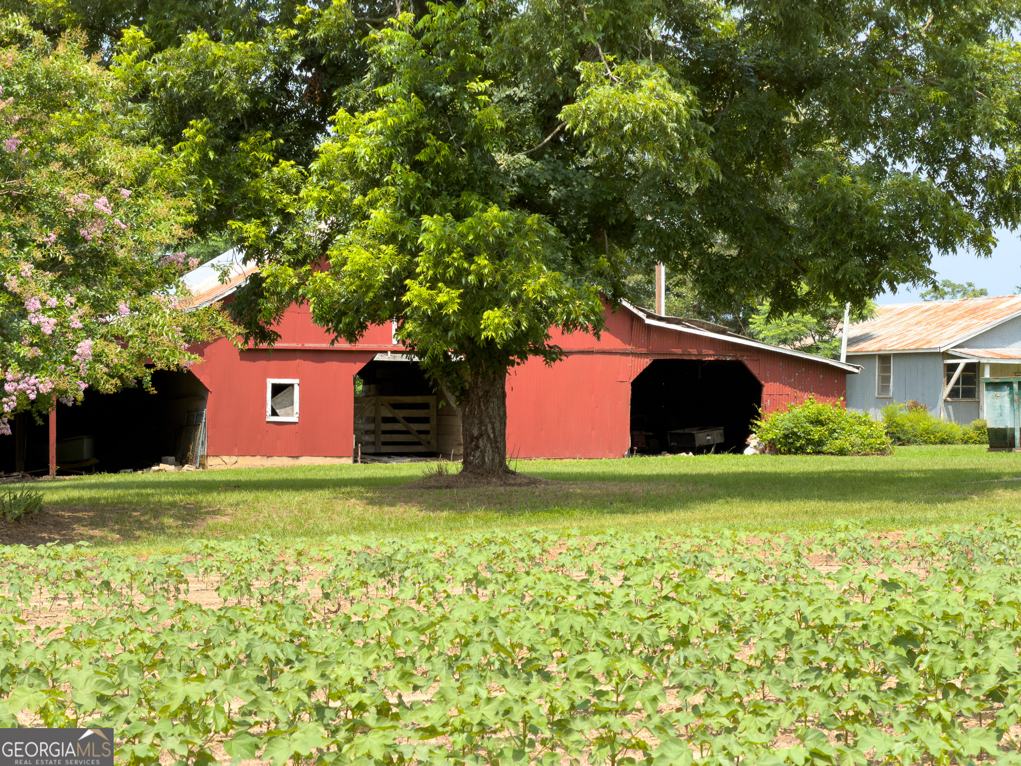 1300 Terry Drive Stapleton, GA 30823 - Photo 1 of 52 Gallery Image 1