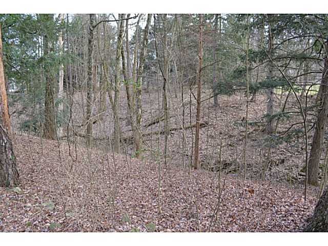 1544 Powell Road Powell, OH 43065 - Photo 17 of 25 Gallery Image 17