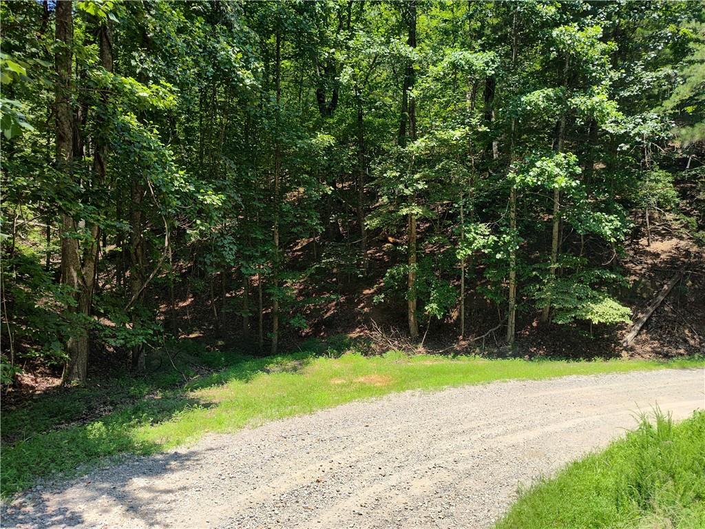 560 Neptune Circle Ranger, GA 30734 - Photo 26 of 30