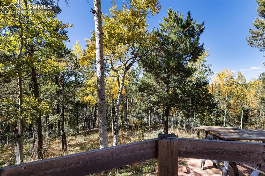 679 Calcite Drive Divide, CO 80814 - Photo 29 of 35