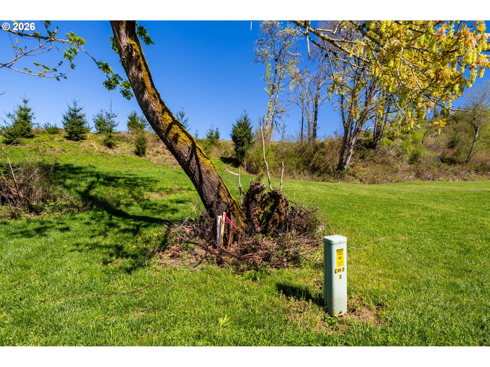 0 Northwest Griffith Road La Center, WA 98629 - Photo 3 of 17