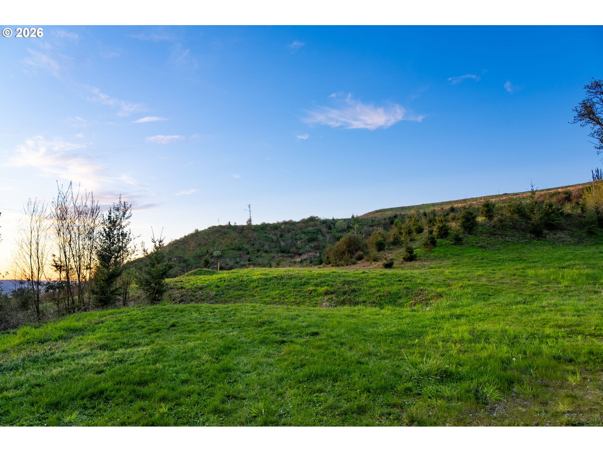 0 Northwest Griffith Road La Center, WA 98629 - Photo 4 of 17