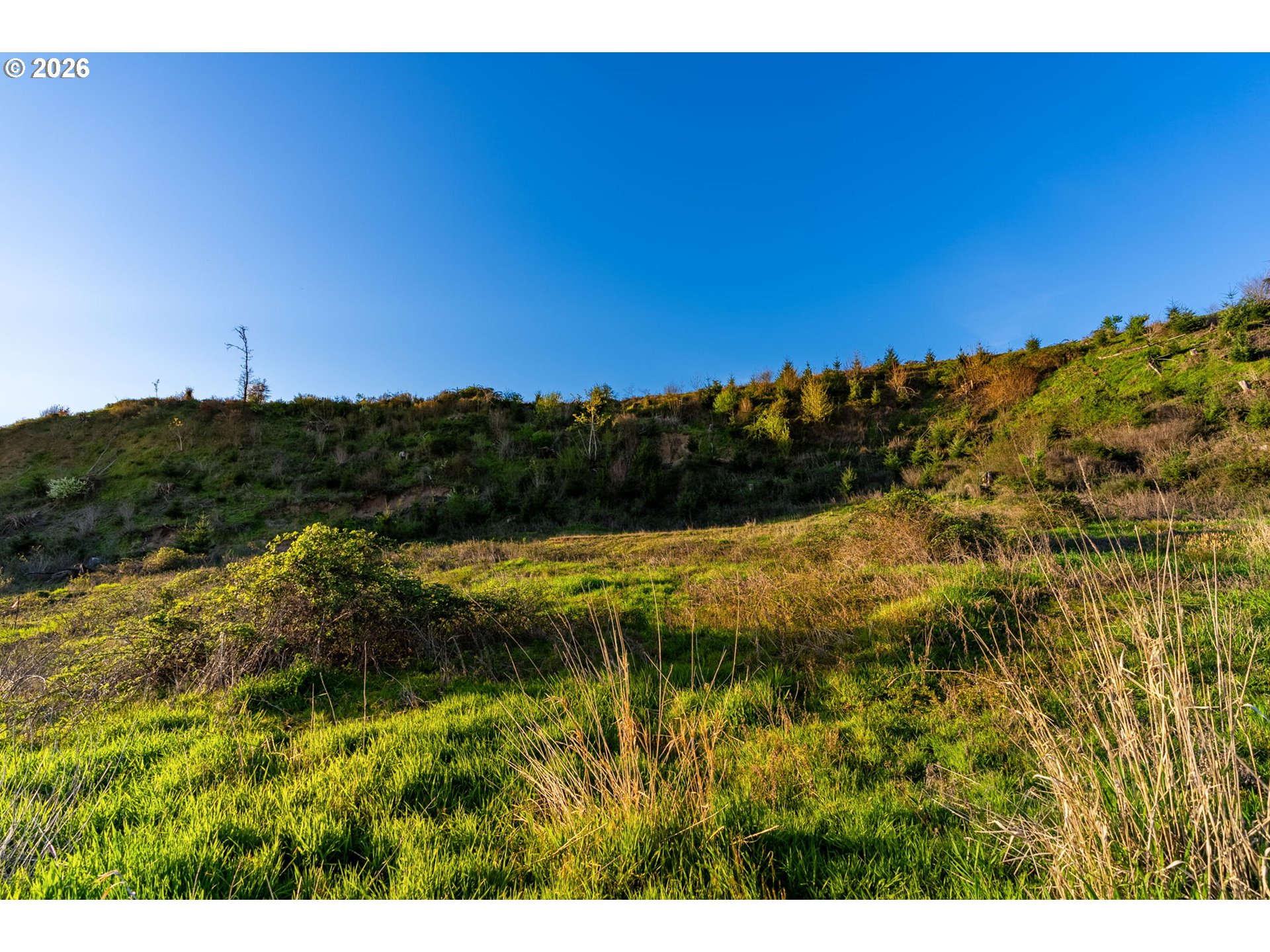 0 Northwest Griffith Road La Center, WA 98629 - Photo 7 of 17