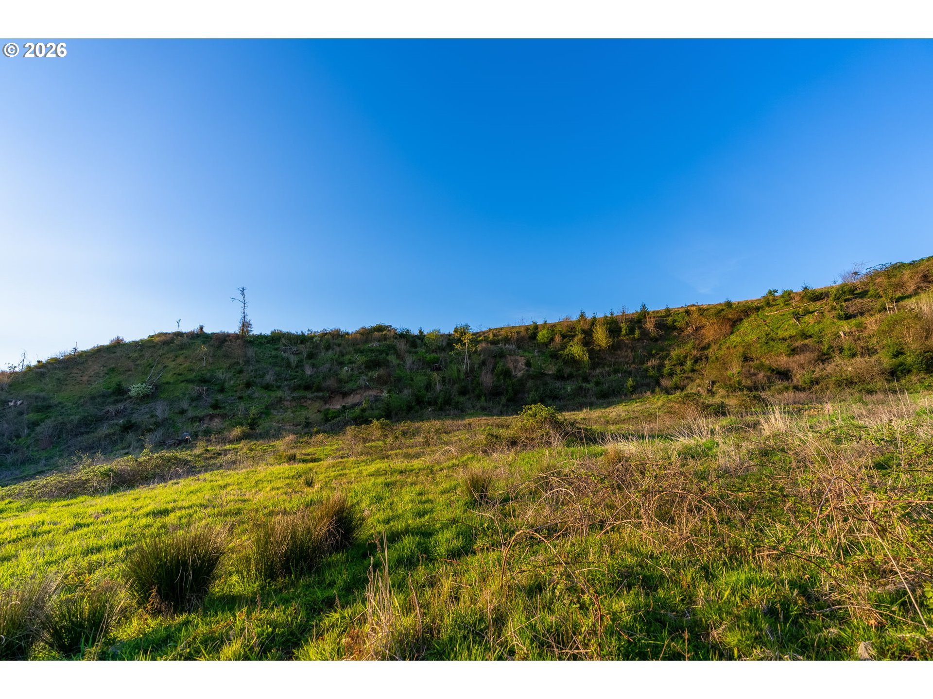 0 Northwest Griffith Road La Center, WA 98629 - Photo 9 of 17