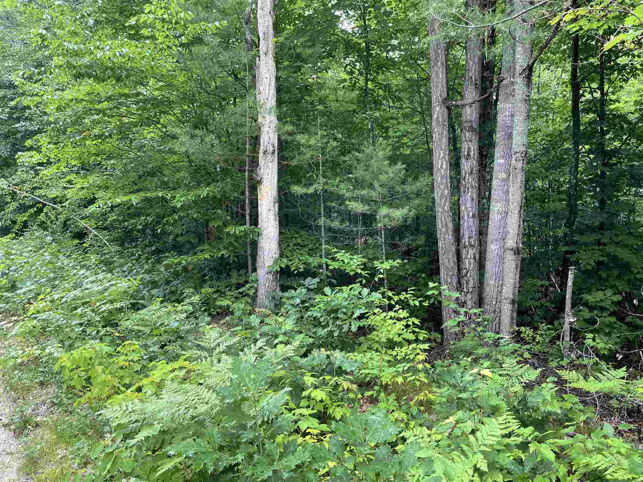 42 Moose Ridge Road Ossipee, NH 03864 - Photo 1 of 35 Gallery Image 1