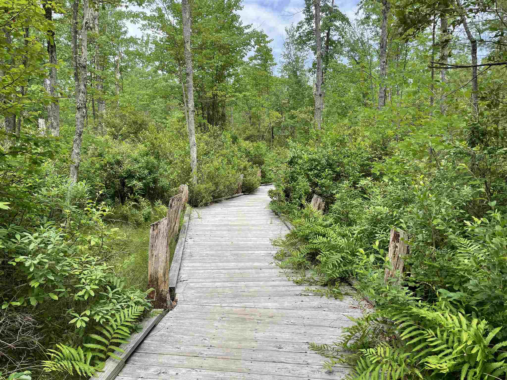42 Moose Ridge Road Ossipee, NH 03864 - Photo 11 of 35 Gallery Image 11