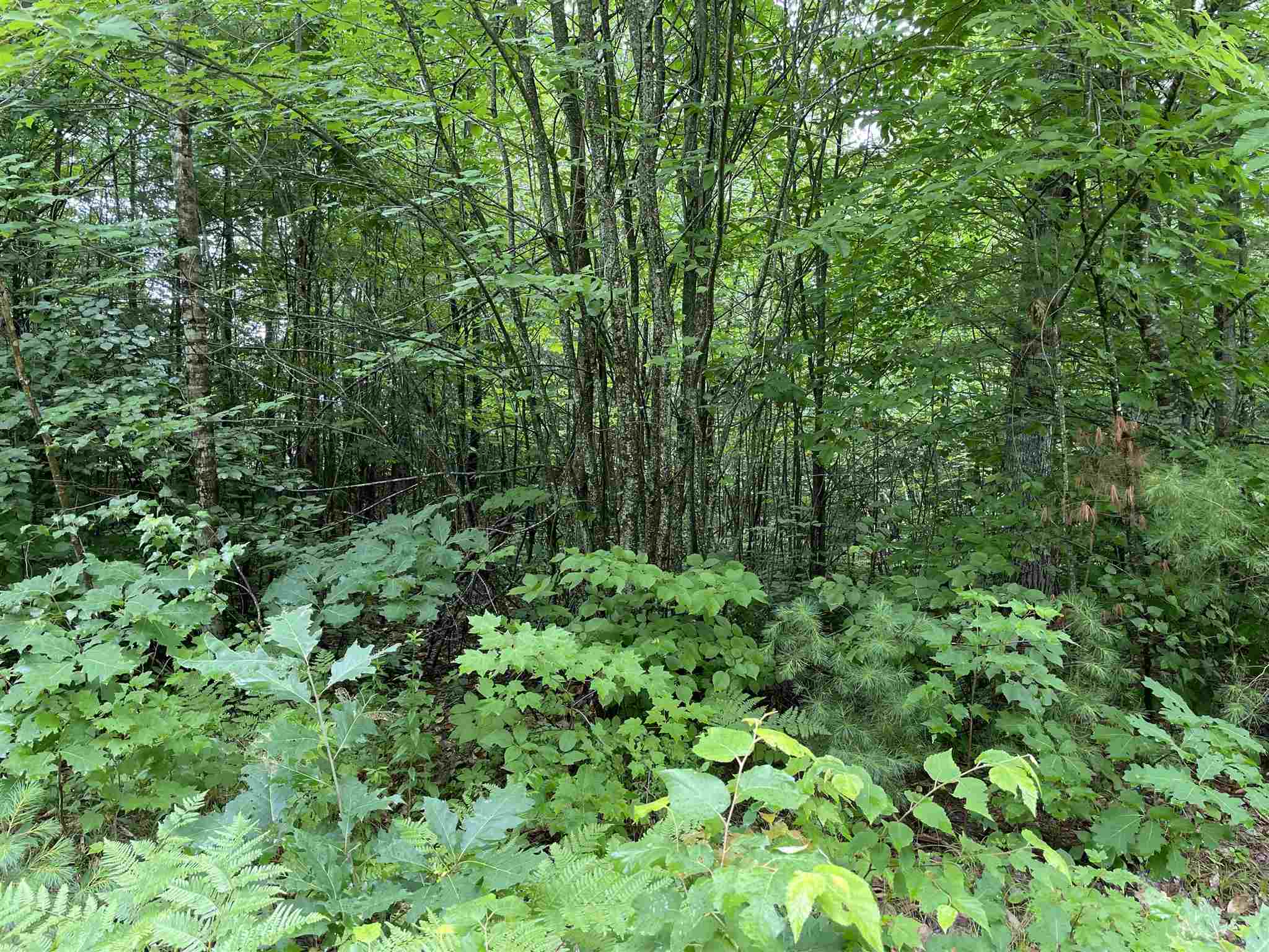 42 Moose Ridge Road Ossipee, NH 03864 - Photo 3 of 35 Gallery Image 3