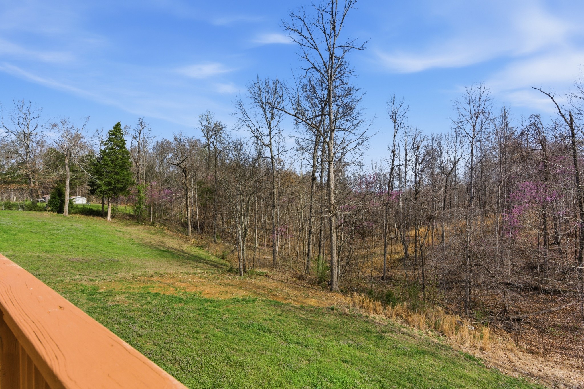 3080 Bowker Road Charlotte, TN 37036 - Photo 26 of 31 a view of a back yard
