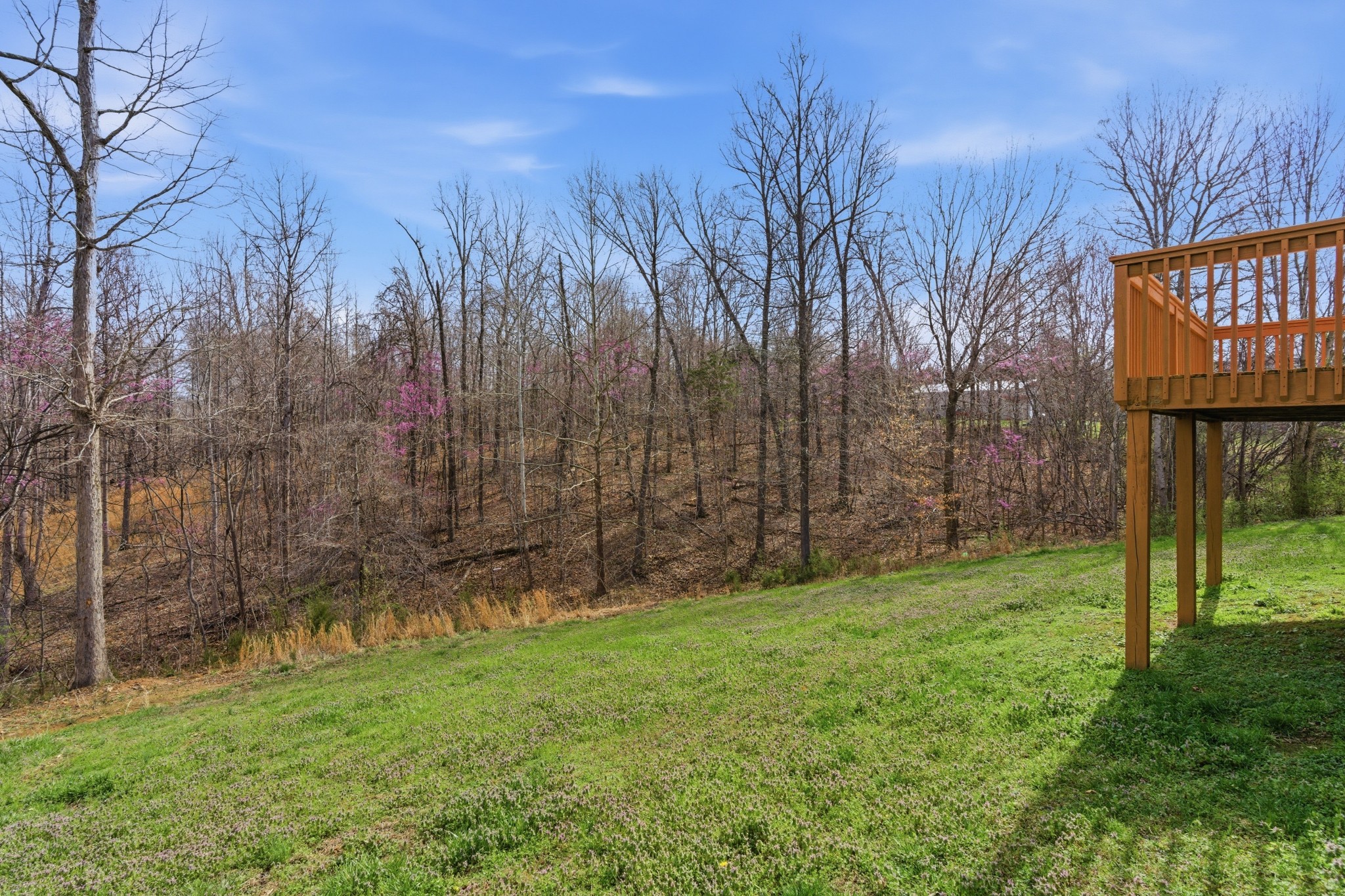 3080 Bowker Road Charlotte, TN 37036 - Photo 27 of 31 a view of a back yard
