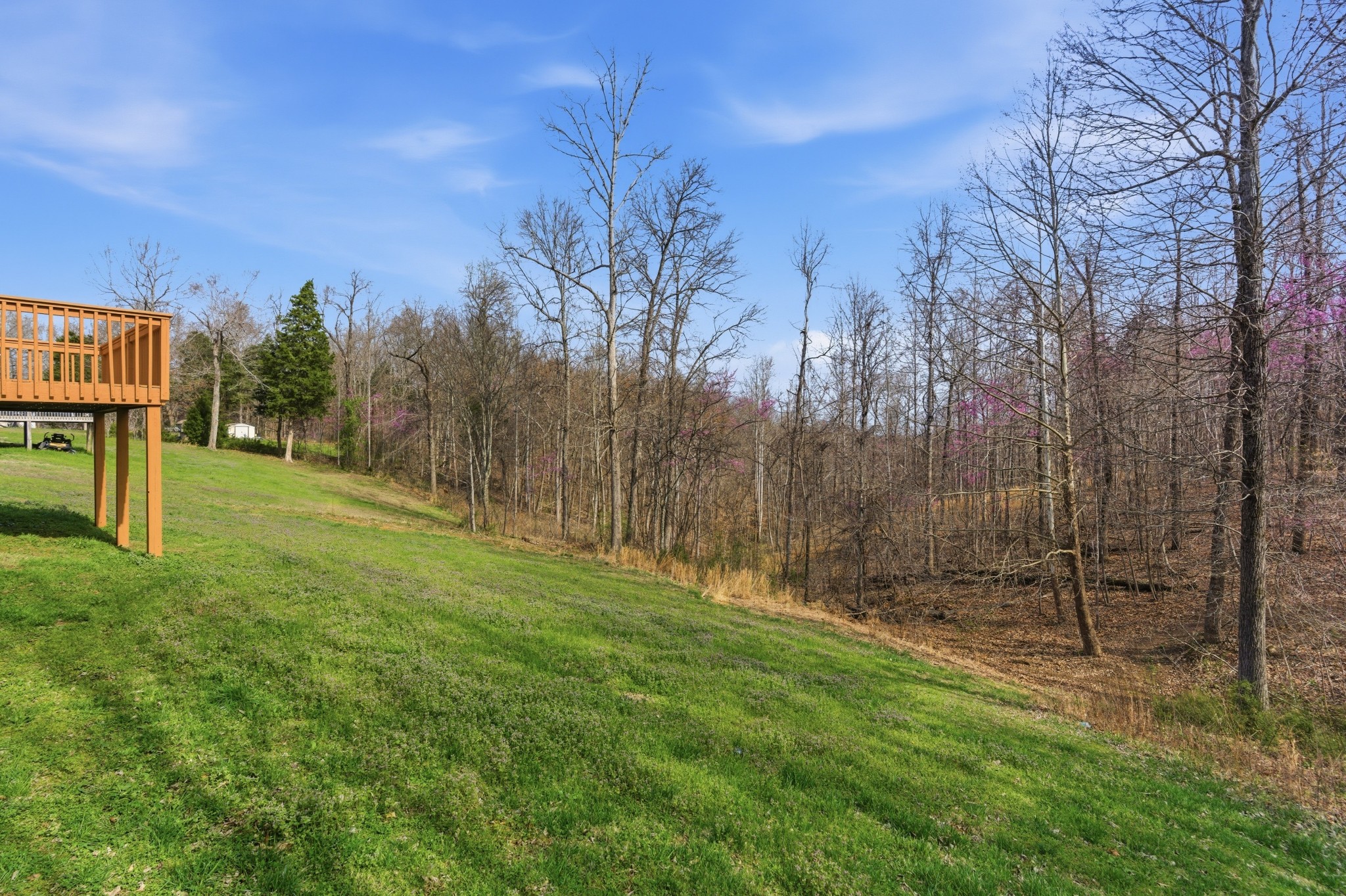 3080 Bowker Road Charlotte, TN 37036 - Photo 28 of 31 a view of a field with trees in the background