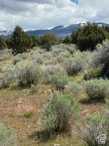 St, Unit 17 Spring City, UT 84662 - Photo 10 of 10 View of mountain backdrop