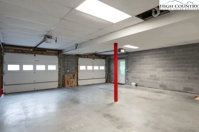 a view of a yard with plants and large trees