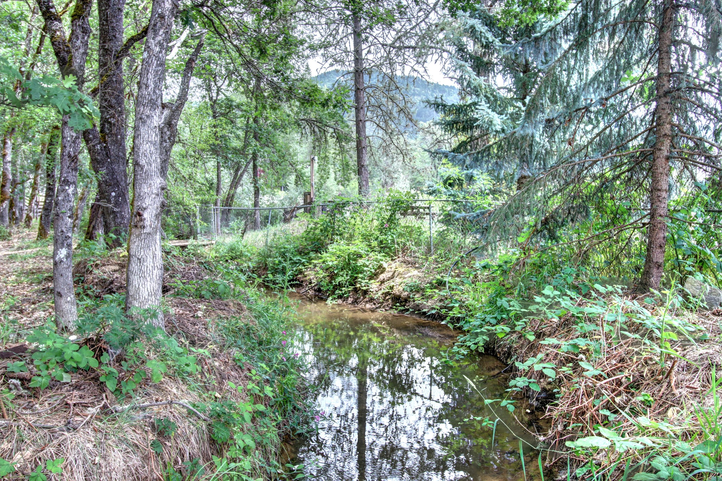 100 Springbrook Drive Grants Pass, OR 97527 - Photo 54 of 57 Irrigation Ditch