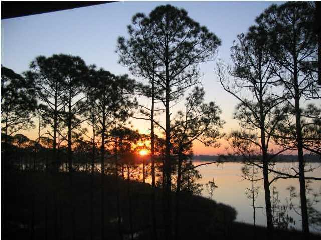 1105 Prospect Promenade, Unit 101 Panama City Beach, FL 32413 - Photo 19 of 27 a picture of tree
