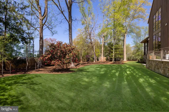 a view of a park with large trees