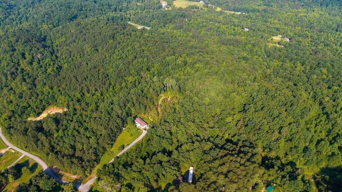 629 McDowell Lane Decatur, TN 37322 - Photo 33 of 40 20250627011120799777000000-o