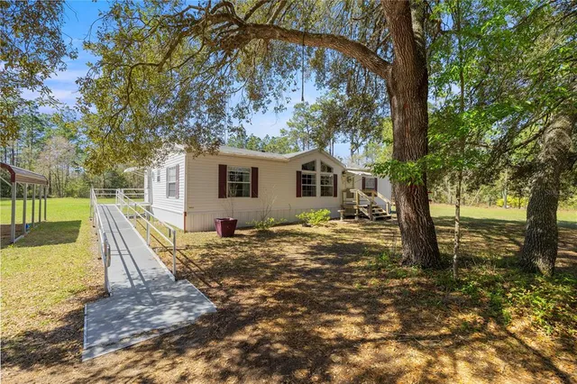 a view of a backyard with large tree