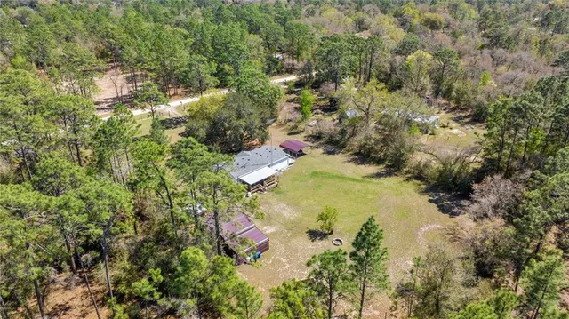 a close up of a tree in a yard