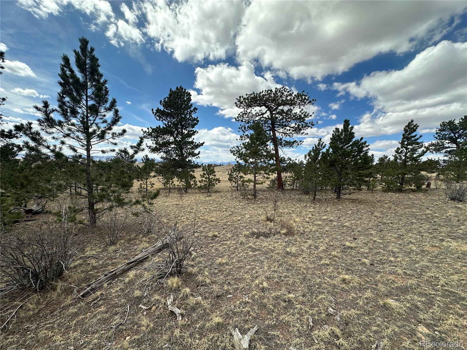 Chicha Road Hartsel, CO 80449 - Photo 11 of 22