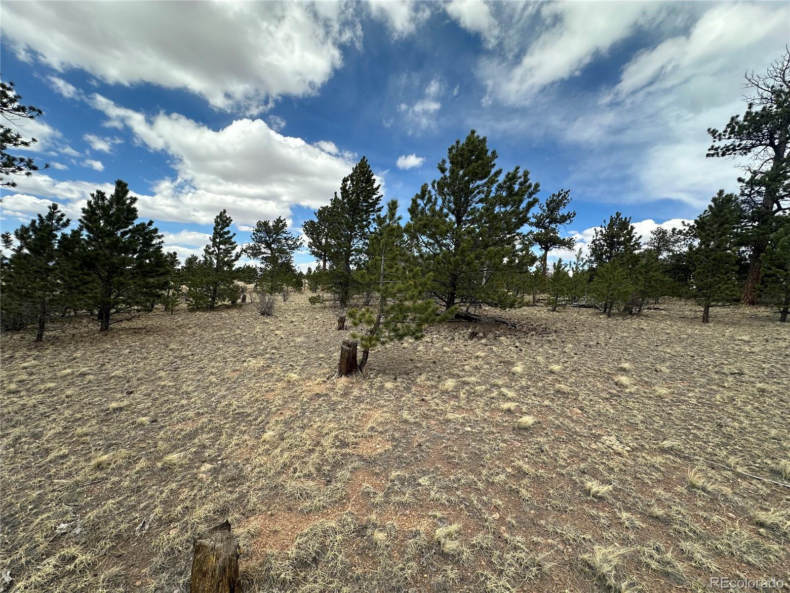 Chicha Road Hartsel, CO 80449 - Photo 12 of 22