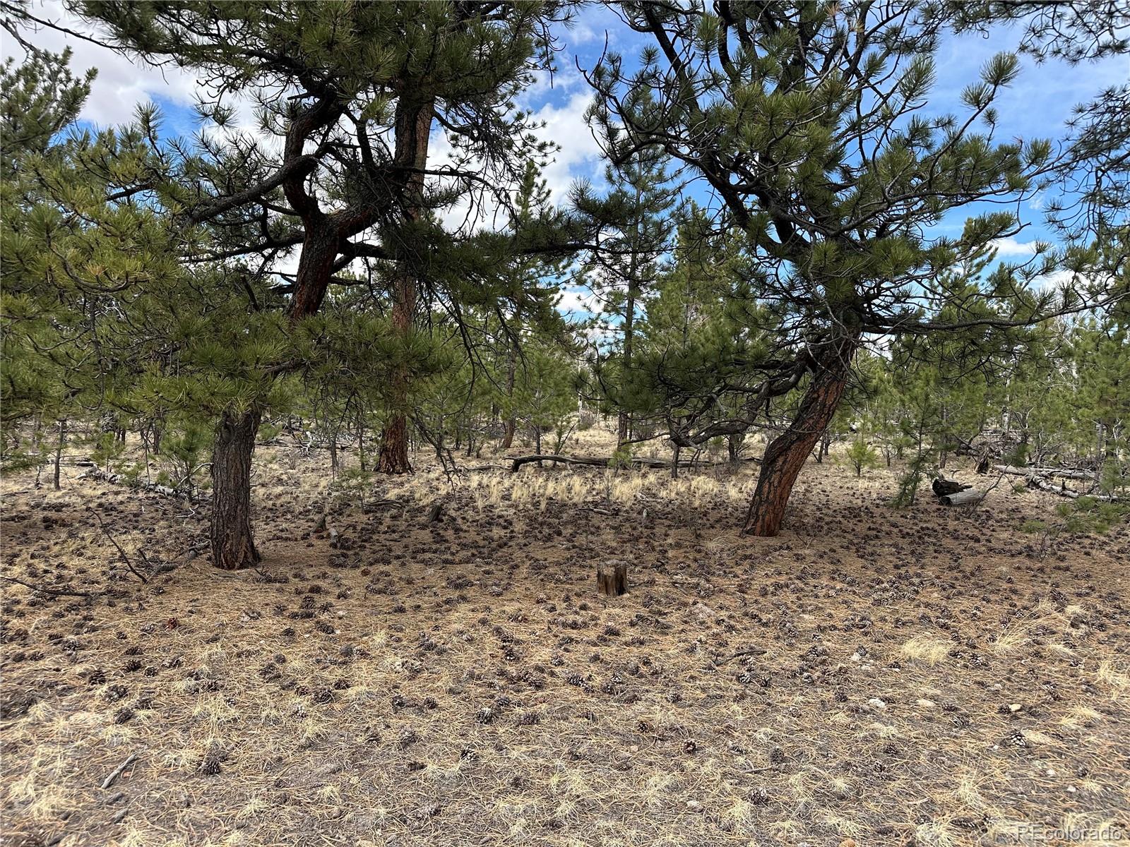 Chicha Road Hartsel, CO 80449 - Photo 13 of 22