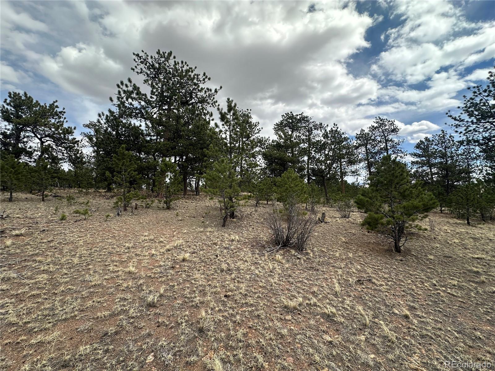 Chicha Road Hartsel, CO 80449 - Photo 14 of 22