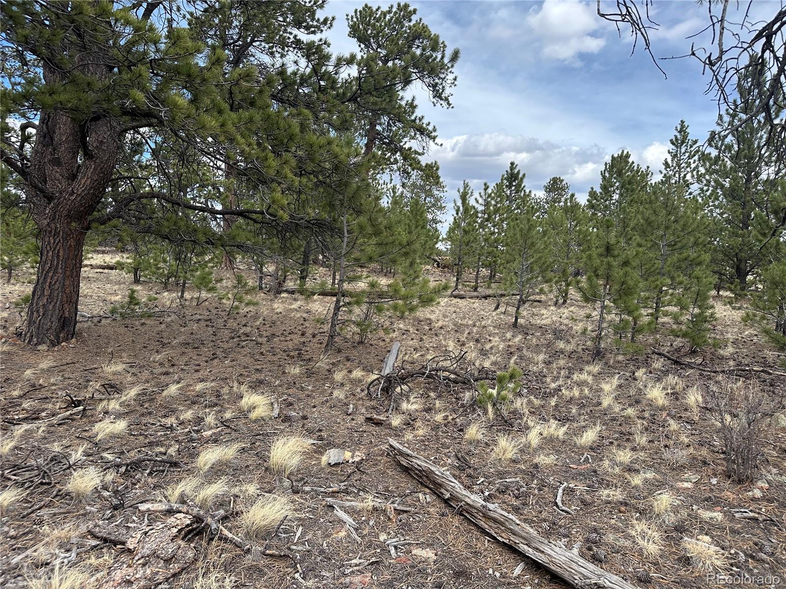 Chicha Road Hartsel, CO 80449 - Photo 15 of 22