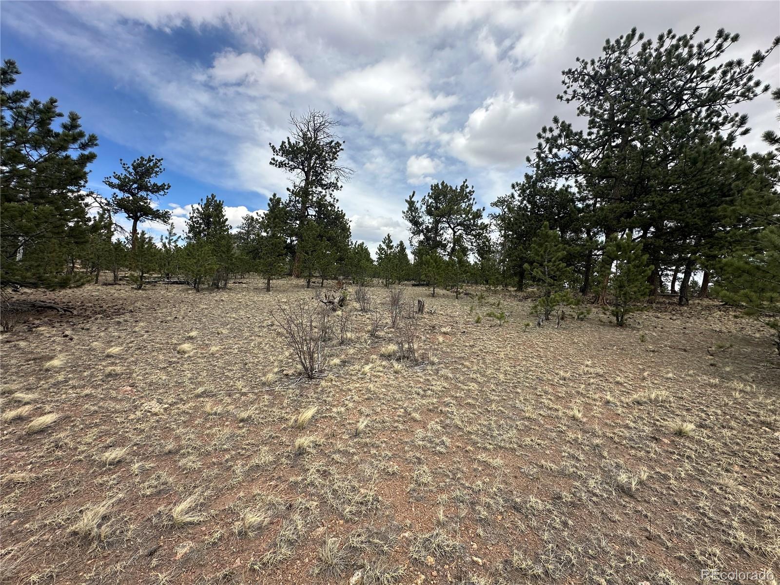 Chicha Road Hartsel, CO 80449 - Photo 16 of 22