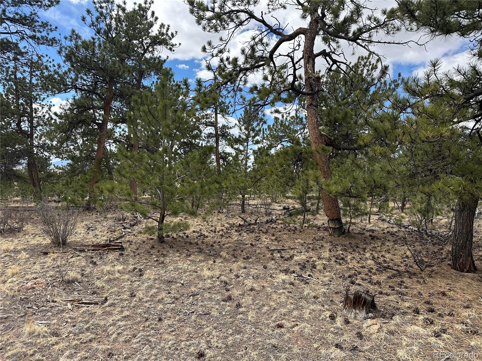 Chicha Road Hartsel, CO 80449 - Photo 17 of 22