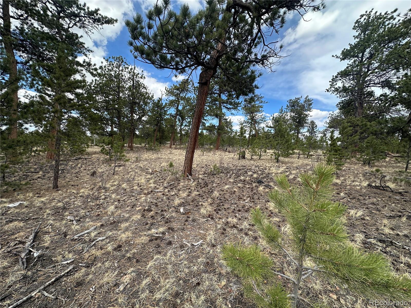 Chicha Road Hartsel, CO 80449 - Photo 18 of 22